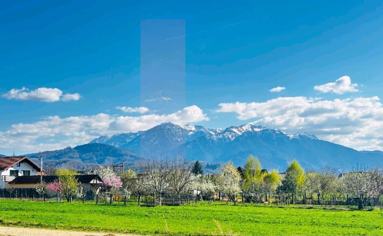 Das Home Rîşnov Buitenkant foto
