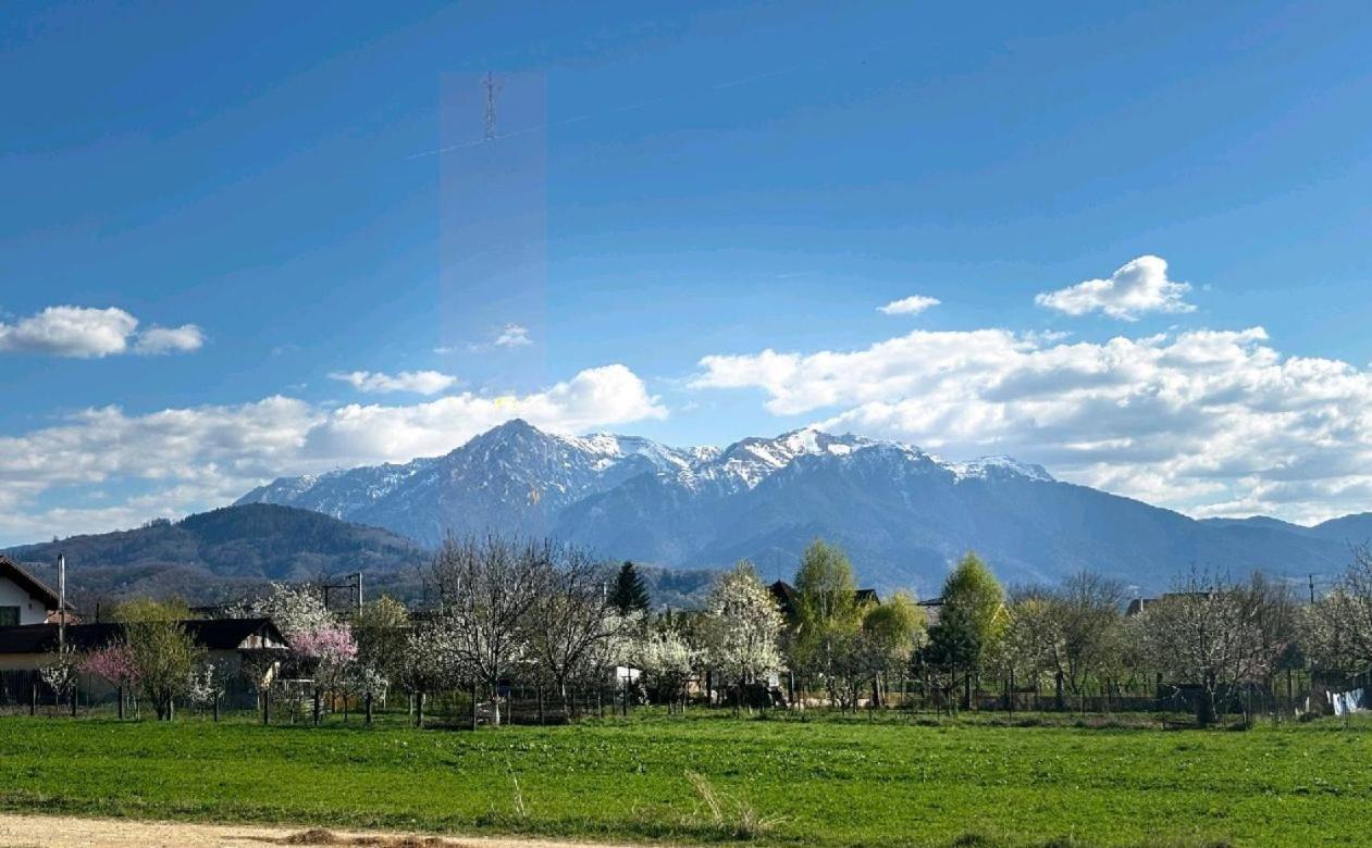 Das Home Rîşnov Buitenkant foto